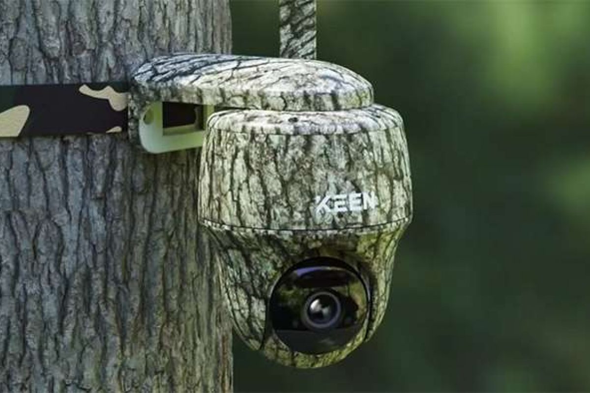Der ultimative Vergleich: Amcrest 5MP POE -Kamera gegen Reolink Fisheye Kamera