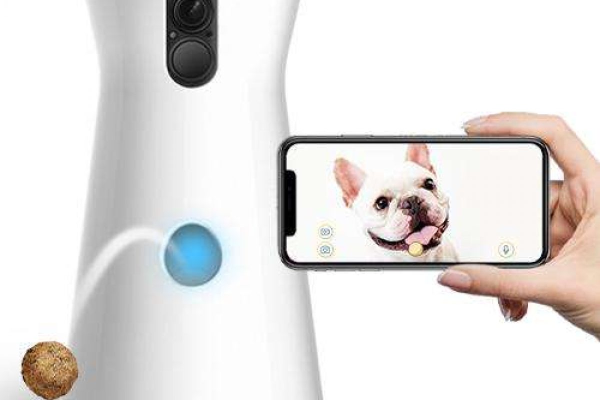 2025 フルボやペットキューブ2 Bites, どちらが良いか
