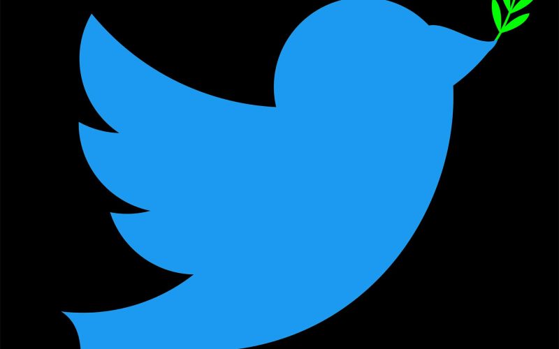 Twitterメールスクレイパーを作成する方法