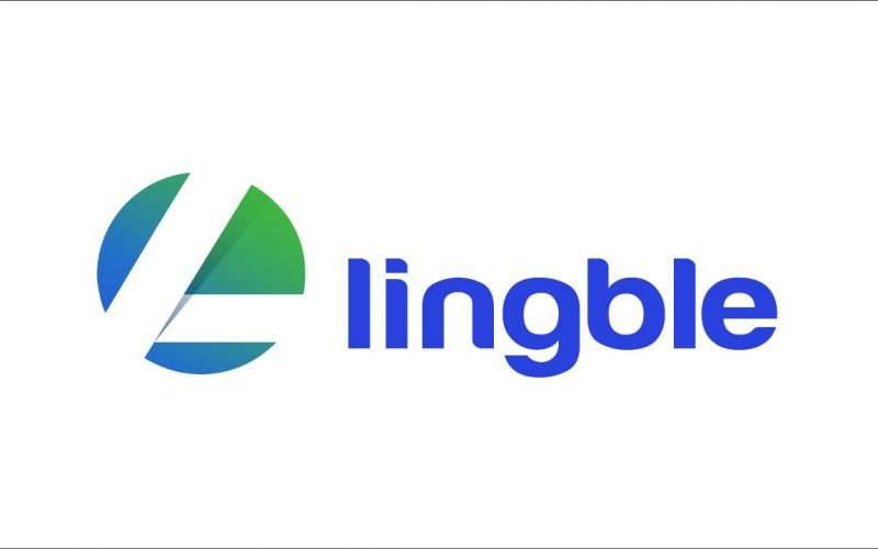 Lingble レビュー: 適切な越境 e コマース ウェブストア ソリューションを選択するためのヒント