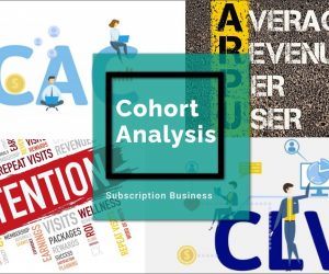 Subscription Business Model Cohort Analysis for Retention Rate, ARPU, CAC, CLV