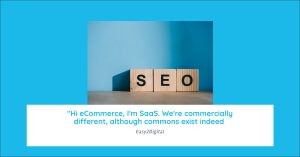 saas seo