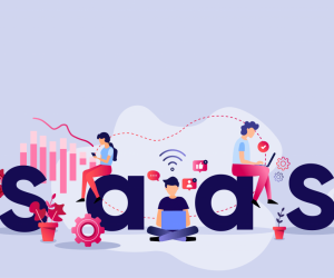 SaaS eCommerce Value Calculator – Potential Sector, Client, and Product Value Proposition